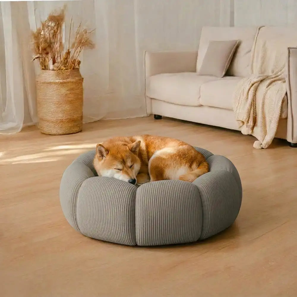 Glücklicher Hund entspannt im weichen, runden Hundebett mit Nackenstütze. Orthopädischer, waschbarer Schlafplatz.