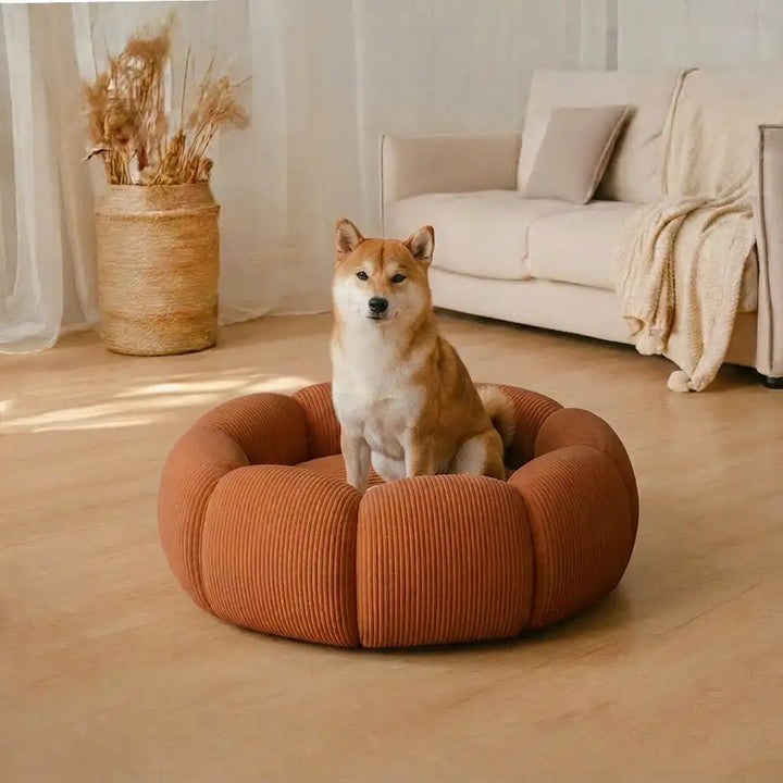 Katze kuschelt im orthopädischen Haustierbett rund. Weiches, waschbares Katzenbett mit Nackenstütze für tiefen Schlaf.