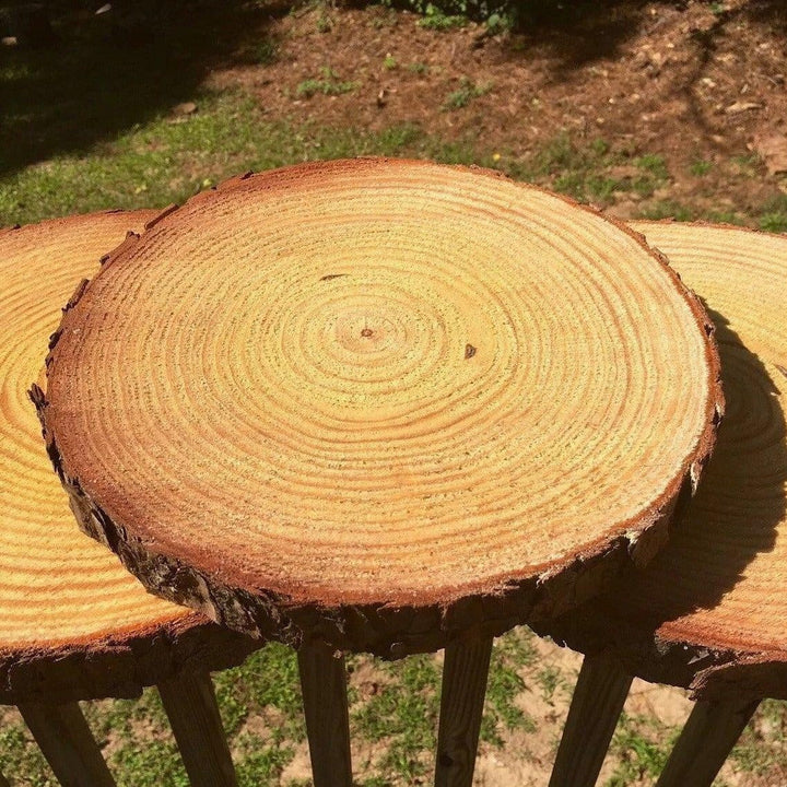 Echte Naturholz Untersetzer, Baumscheiben-Optik. Ideal als Tassenschutz oder zum Basteln.