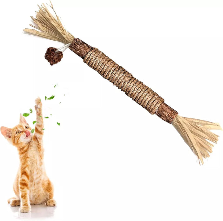 Effektive Katzen Kausticks unterstützen die Zahnpflege Ihrer Katze und sorgen für Atemfrische.