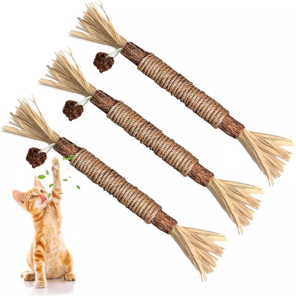 Diese natürlichen Zahnreinigungssticks für Katzen fördern die Gesundheit von Zähnen und Zahnfleisch.