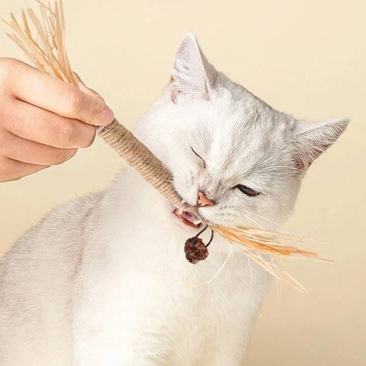 Mehrere Katzen Zahnreinigungssticks, ideal zur täglichen Zahnpflege und für gesunde Katzenzähne.