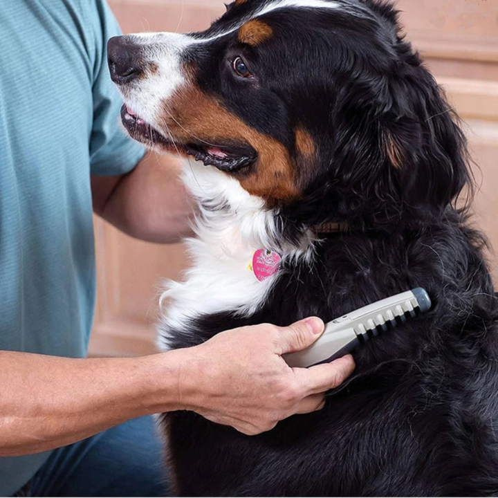 Detail: Felltrimmer-Klingen für knotenfreie Hunde- & Katzenfellpflege, sanft & sicher.