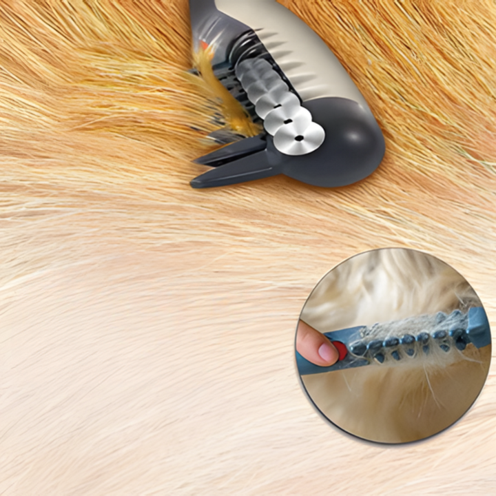Katzenfellpflege mit dem Trimmer: Sanfte Entfilzung & Tierhaarentfernung für gesunde Katzenhaut.
