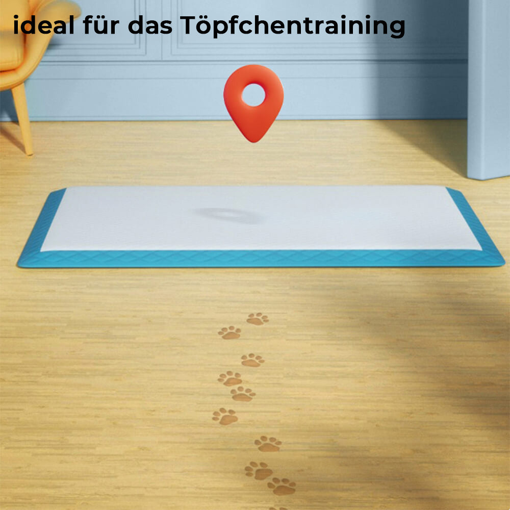 Auslaufsichere Einweg-Trainingspads für Haustiere. Halten Böden sauber bei Welpentraining von Hund & Katze.