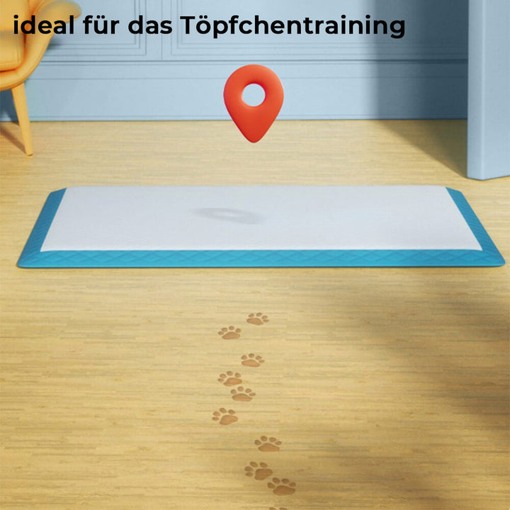 Auslaufsichere Einweg-Trainingspads für Haustiere. Halten Böden sauber bei Welpentraining von Hund & Katze.