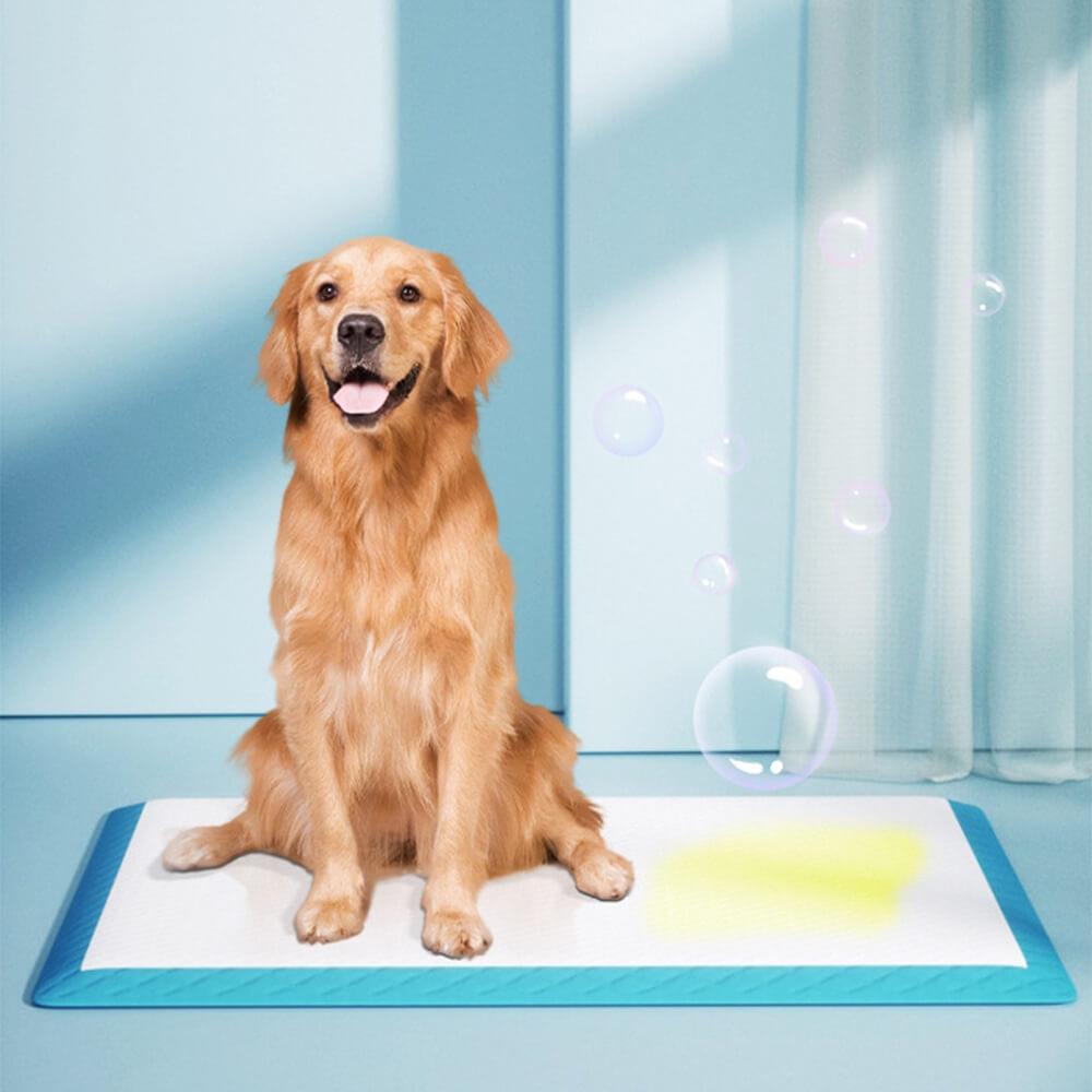 Zuverlässige Einweg-Katzen- & Hunde-Trainingsunterlagen für Hygiene und Stubenreinheit im Tierhaushalt.