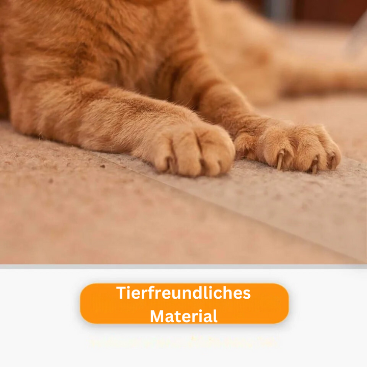Unauffälliger Möbelschutz für Katzen. Transparente Kratzfolie schützt Wohnzimmermöbel unsichtbar vor Krallen.