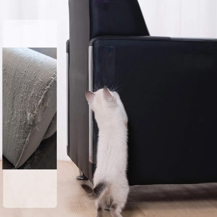 Katzenzubehör: Robuster Kratzschutz als unsichtbare Folie für Möbel. Perfekter Kratzstopp für Tierbesitzer.