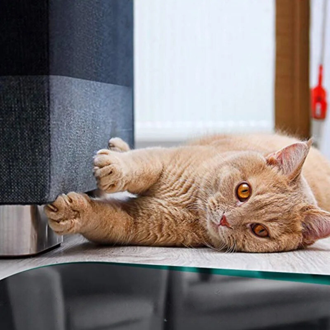 Kratzfolie für Katzenmöbel, schützt Polstermöbel effektiv vor Beschädigungen durch Katzenkrallen – langlebig.