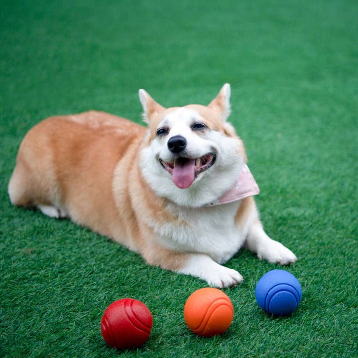 Schwimmender Quietschball für Hunde, ideal für aktiven Spielspaß im Wasser & draußen.
