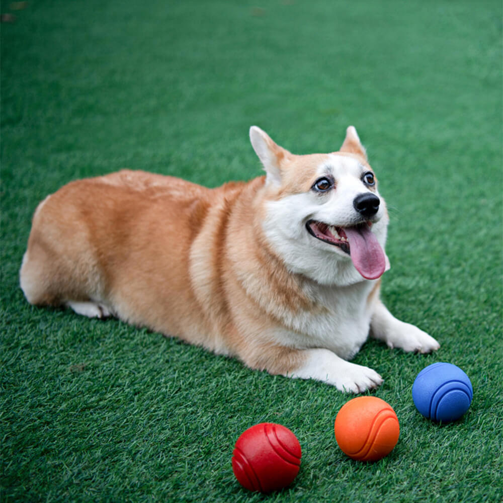 Robustes Hundespielzeug: Quietschball aus Gummi, schwimmfähig & bissfest für Apportierspiele.