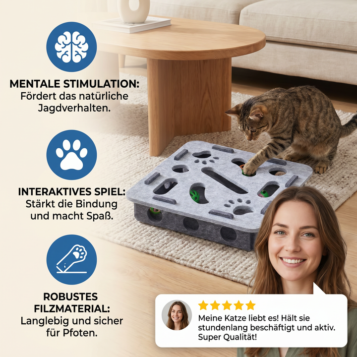 Interaktives Katzenspielzeug aus Filz, ein Puzzle für intelligente Katzen, fördert Spielspaß & Beschäftigung.