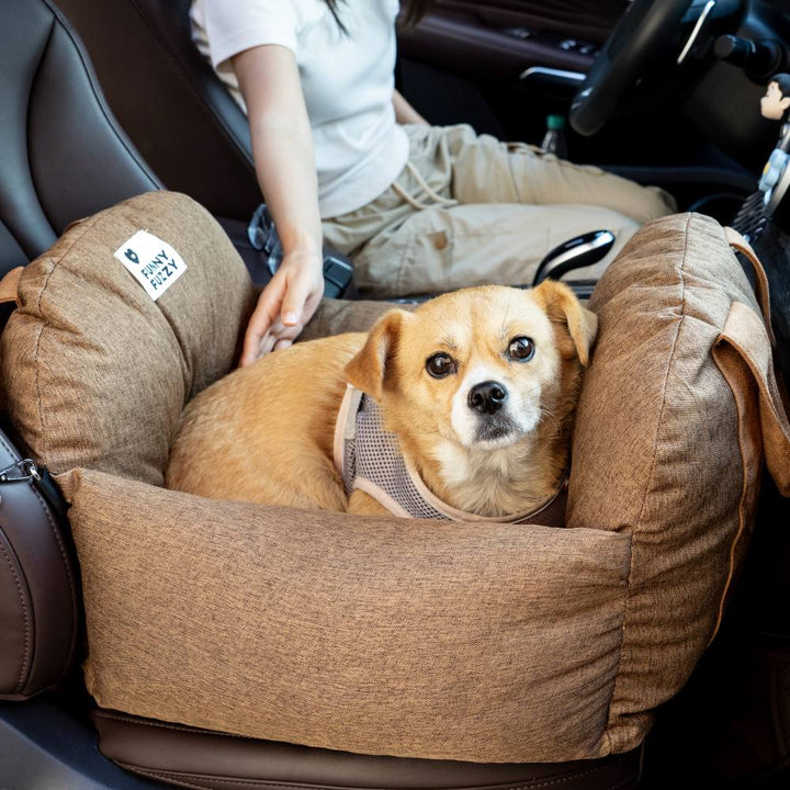 Hundeautositz: die sichere Basis für jede Abenteuerreise.