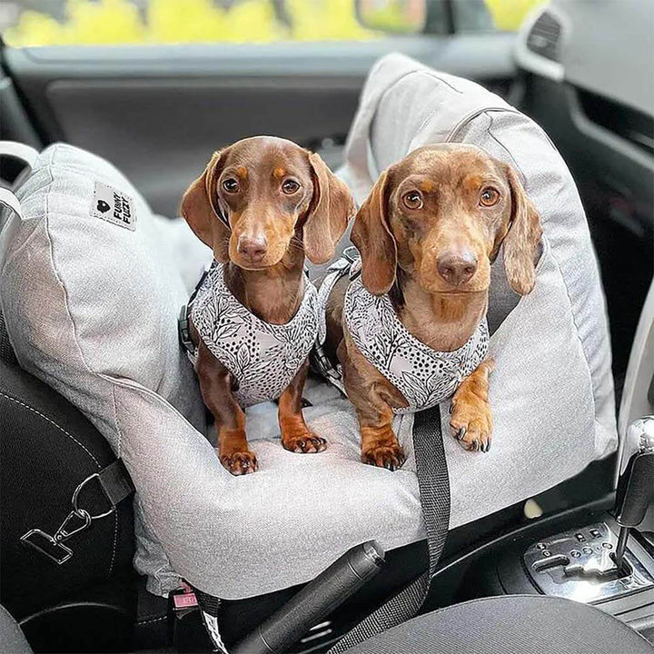 Hundeautositz: Ihr Hund reist stilvoll und geschützt.