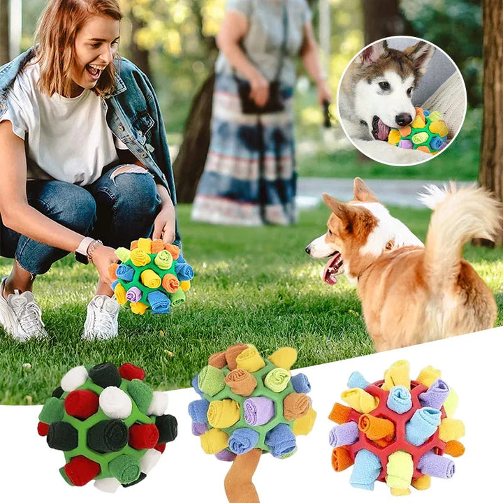 Hund spielt begeistert mit dem Schnüffelball. Fördert Intelligenz, Stressabbau und natürliche Futtersuche.