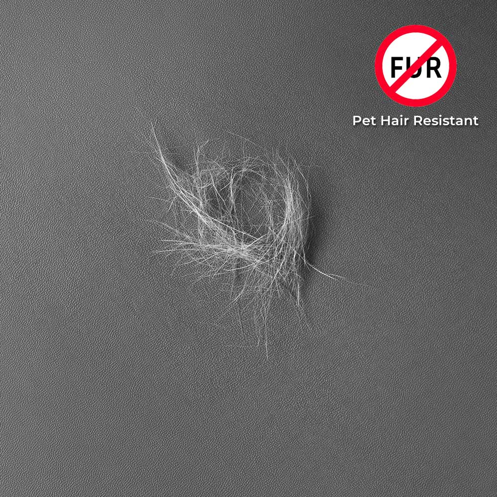 Komfortabler, elastischer Sofabezug. Schützt Möbel zuverlässig vor Wasser, Kratzern & Tierhaaren im Wohnzimmer.