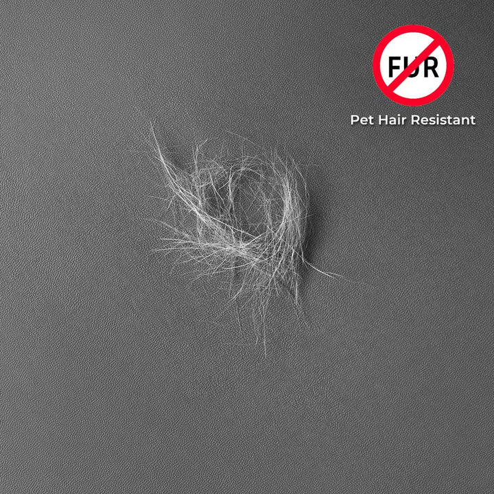 Komfortabler, elastischer Sofabezug. Schützt Möbel zuverlässig vor Wasser, Kratzern & Tierhaaren im Wohnzimmer.