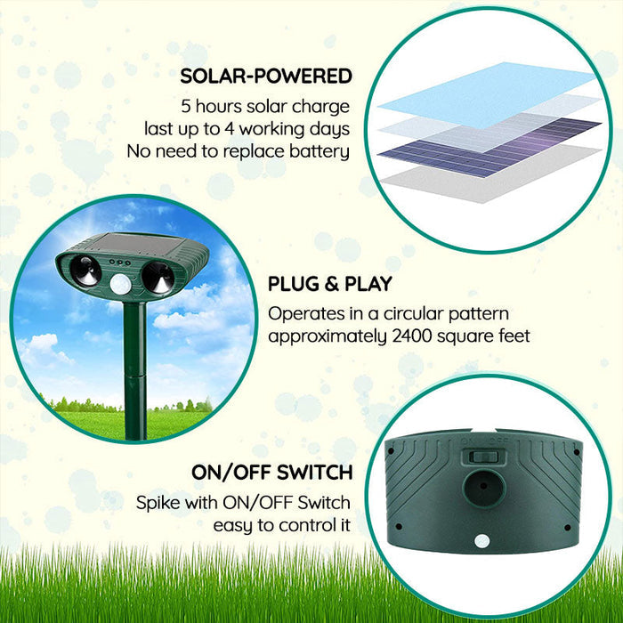 Kompakte Solar-Ultraschall-Tierabwehr im Gartenboden gesteckt, schützt vor Waschbären durch Bewegungsmelder & Schall.