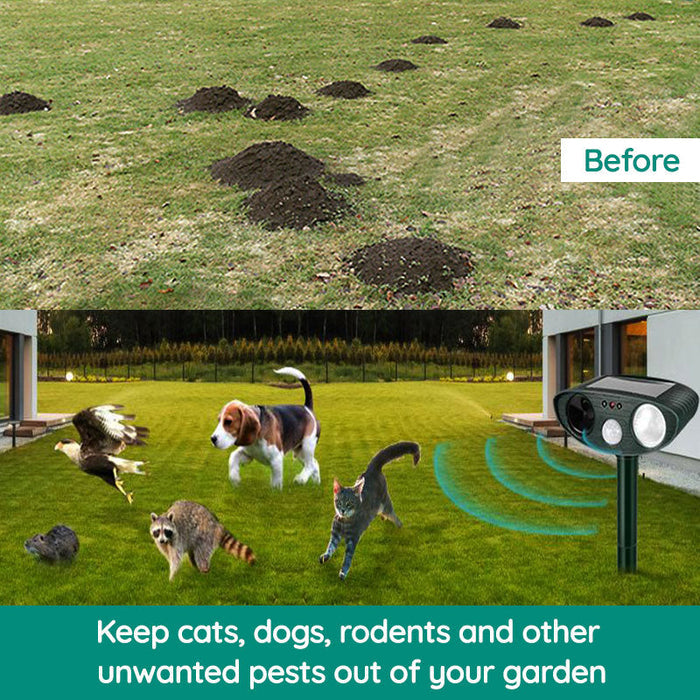 Solarbetriebene Ultraschall-Tierabwehr für den Garten. Effektiver Schutz gegen Waschbären und andere Wildtiere outdoor.