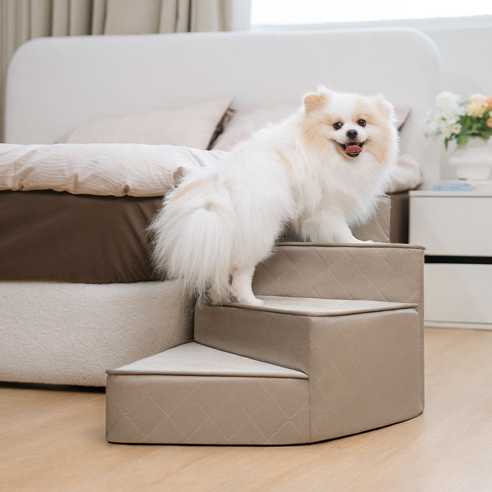 Kompakte Hundetreppe spiralförmig, Kunstleder, ideal für Sofazugang.
