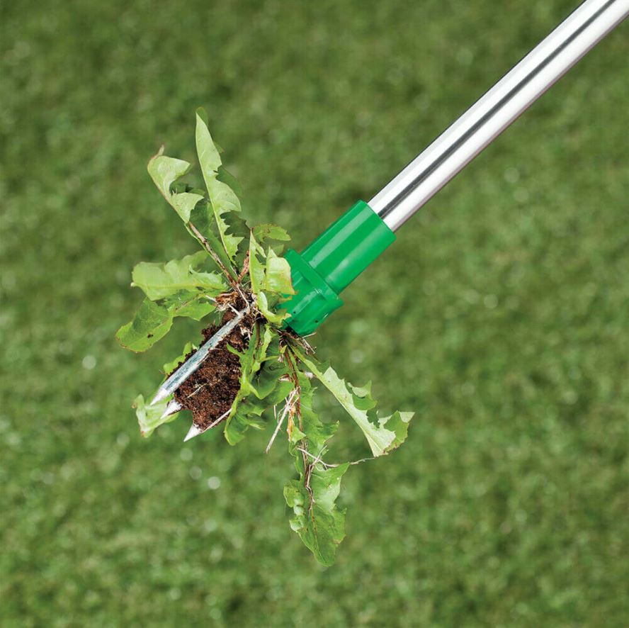 Effizienter, robuster Unkrautstecher zur einfachen und mühelosen Unkrautentfernung bei der Gartenpflege.
