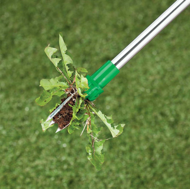 Effizienter, robuster Unkrautstecher zur einfachen und mühelosen Unkrautentfernung bei der Gartenpflege.