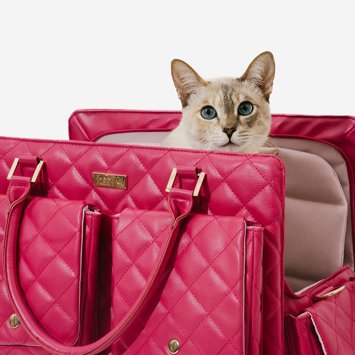 Große, stilvolle Hundetasche aus strapazierfähigem Material, ideal für alle Haustierabenteuer.