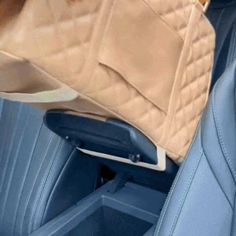 Design-Hundetasche, groß & luxuriös, ideal für den Transport von Haustieren im Auto und Flugzeug.
