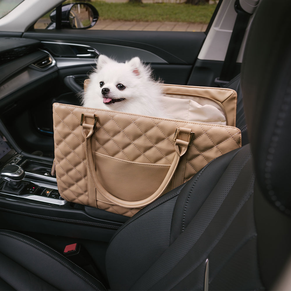 Moderne Hundetransportbox im Taschenformat, pflegeleicht und für jedes Abenteuer bereit.