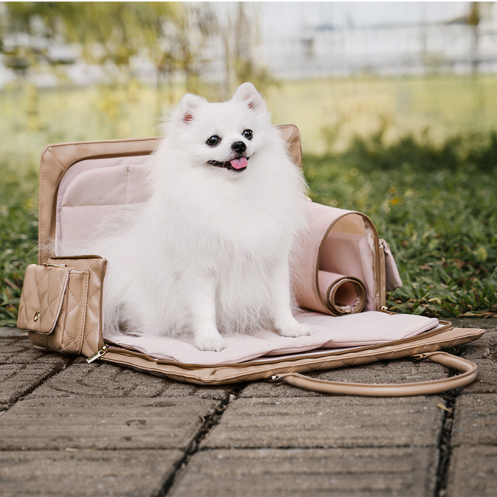 Schicke Hundetasche für unterwegs, viel Platz für Ihr Haustier & Zubehör, ideal für den Urlaub.