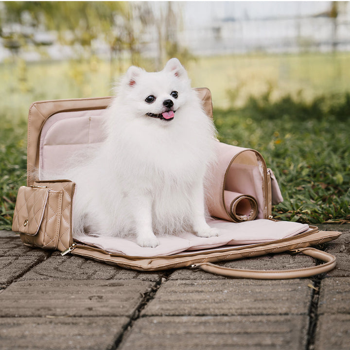 Schicke Hundetasche für unterwegs, viel Platz für Ihr Haustier & Zubehör, ideal für den Urlaub.