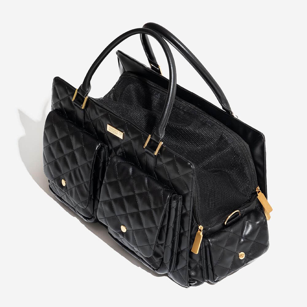 Geräumige Haustier-Reisetasche, aus robustem Leder-Look, perfekt für Abenteuer.