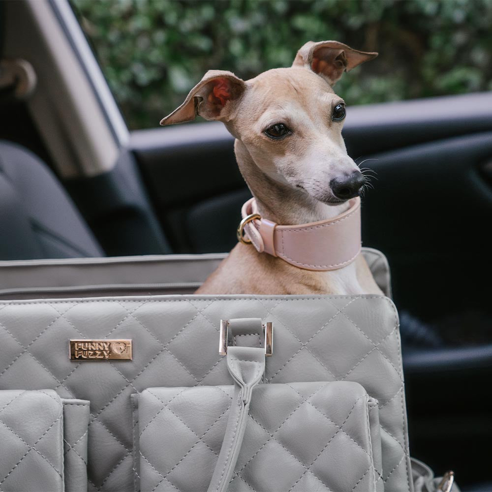 Elegante Reisetasche für Hunde, groß, aus hochwertigem Material, ideal für alle Abenteuer.