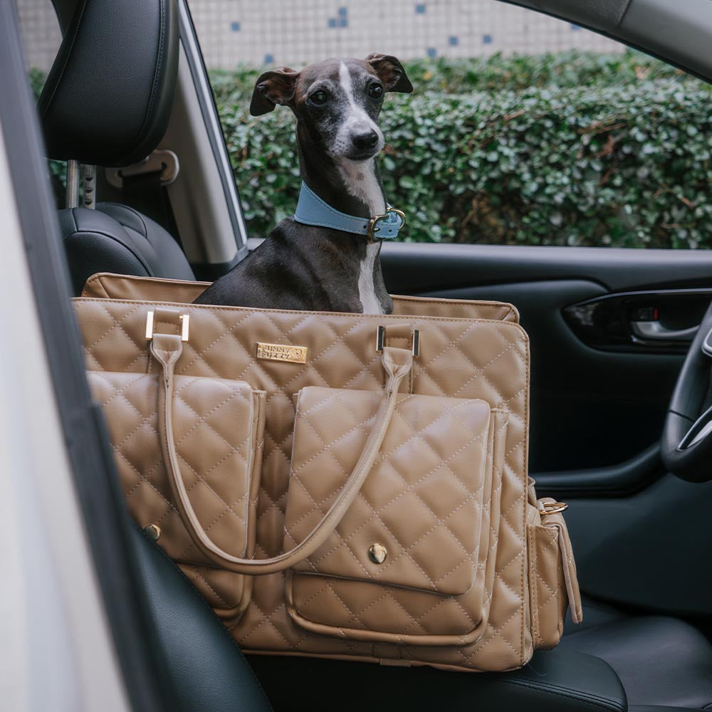 Hochwertige Haustiertasche, stilvoll & groß, perfekt für lange Reisen & gemeinsame Erlebnisse.