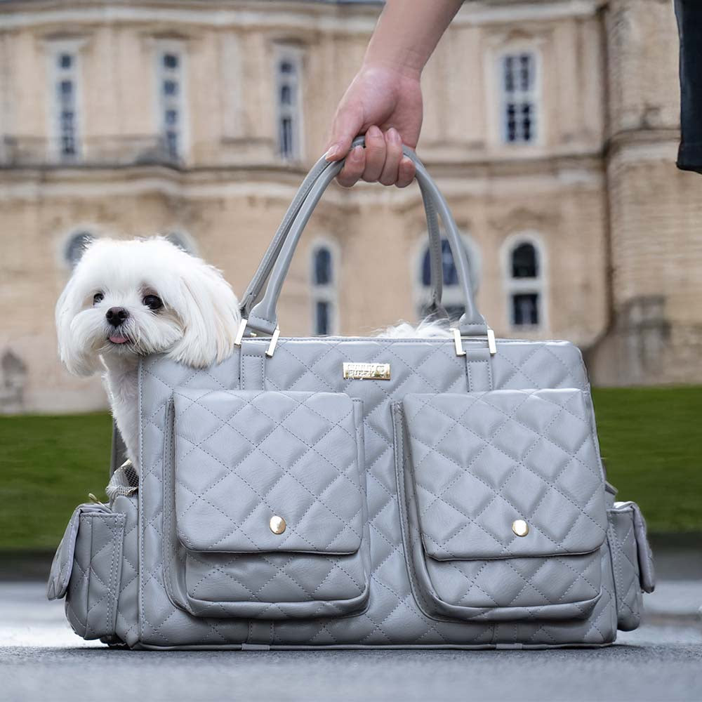 Luxuriöse Hundereisetasche, Leder-Look, geräumig, stilvolles Hundezubehör für Reisen.