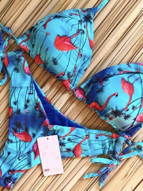 Attraktiver Damen Push-up Bikini-Set, bequemer Zweiteiler für maximale Bewegungsfreiheit.