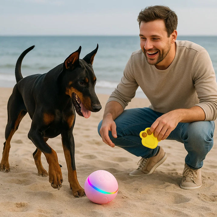 Selbstrollender interaktiver Hundeball, ideal für Welpen oder energiegeladene Hunde. Robustes Spielzeug.