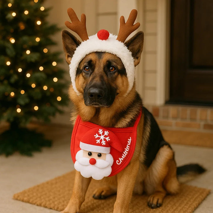 Personalisierbare Hundekleidung in Weihnachtsmotiv: bequem, warm und modisch.