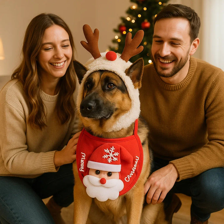 Zwei Hunde in verschiedenen personalisierten festlichen Weihnachts-Pullover für Winterspaß.