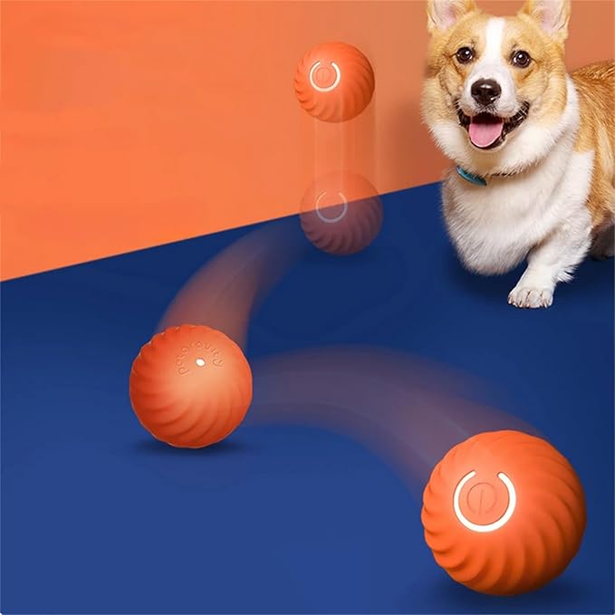 Glücklicher Hund spielt begeistert mit dem interaktiven Springball, fördert Aktivität & Spielspaß.