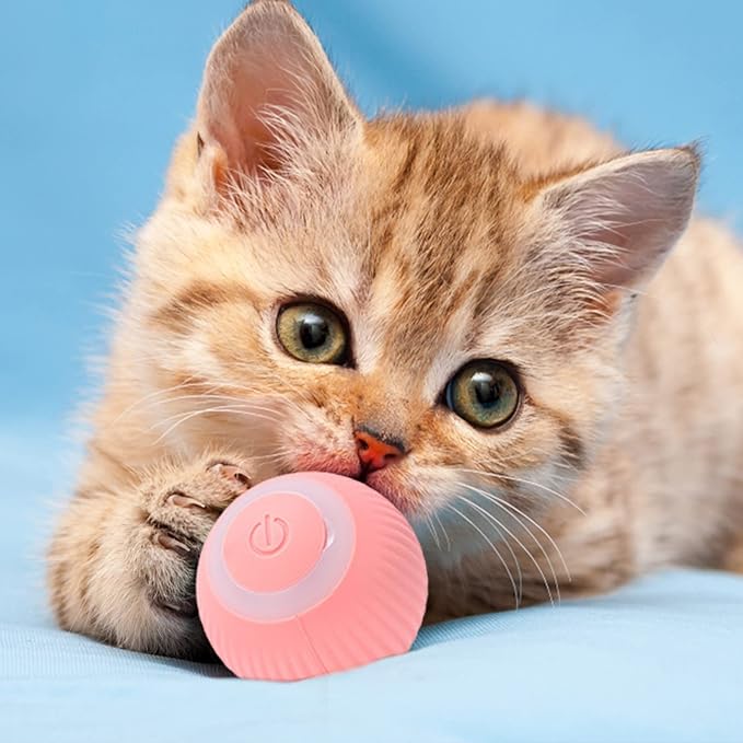 Interaktiver Katzen-Spielball mit LED-Licht in Rosa für aktive Stubentiger; automatisches Katzenspielzeug für Spaß.
