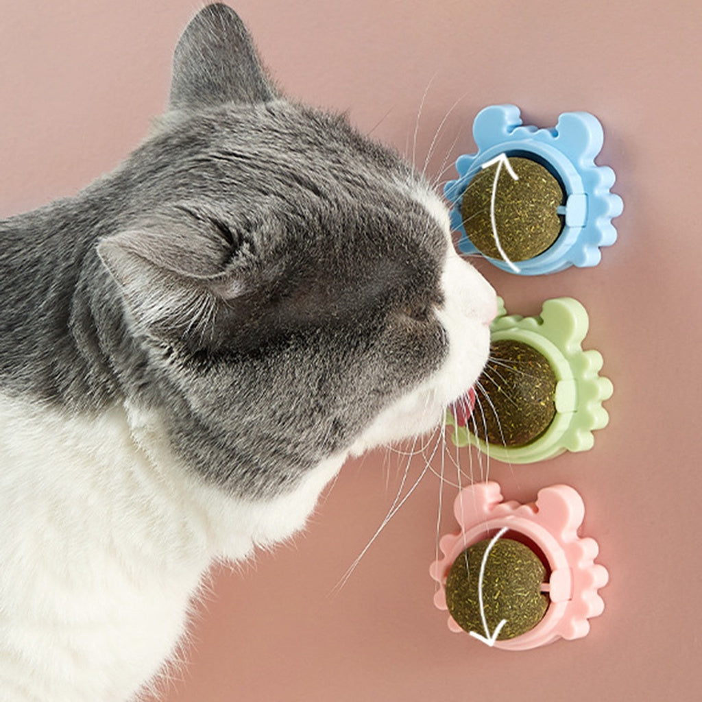 Interaktiver Katzenminze Spielball für entspannte Katzen. Robustes Katzenspielzeug für Spiel & Stressabbau.