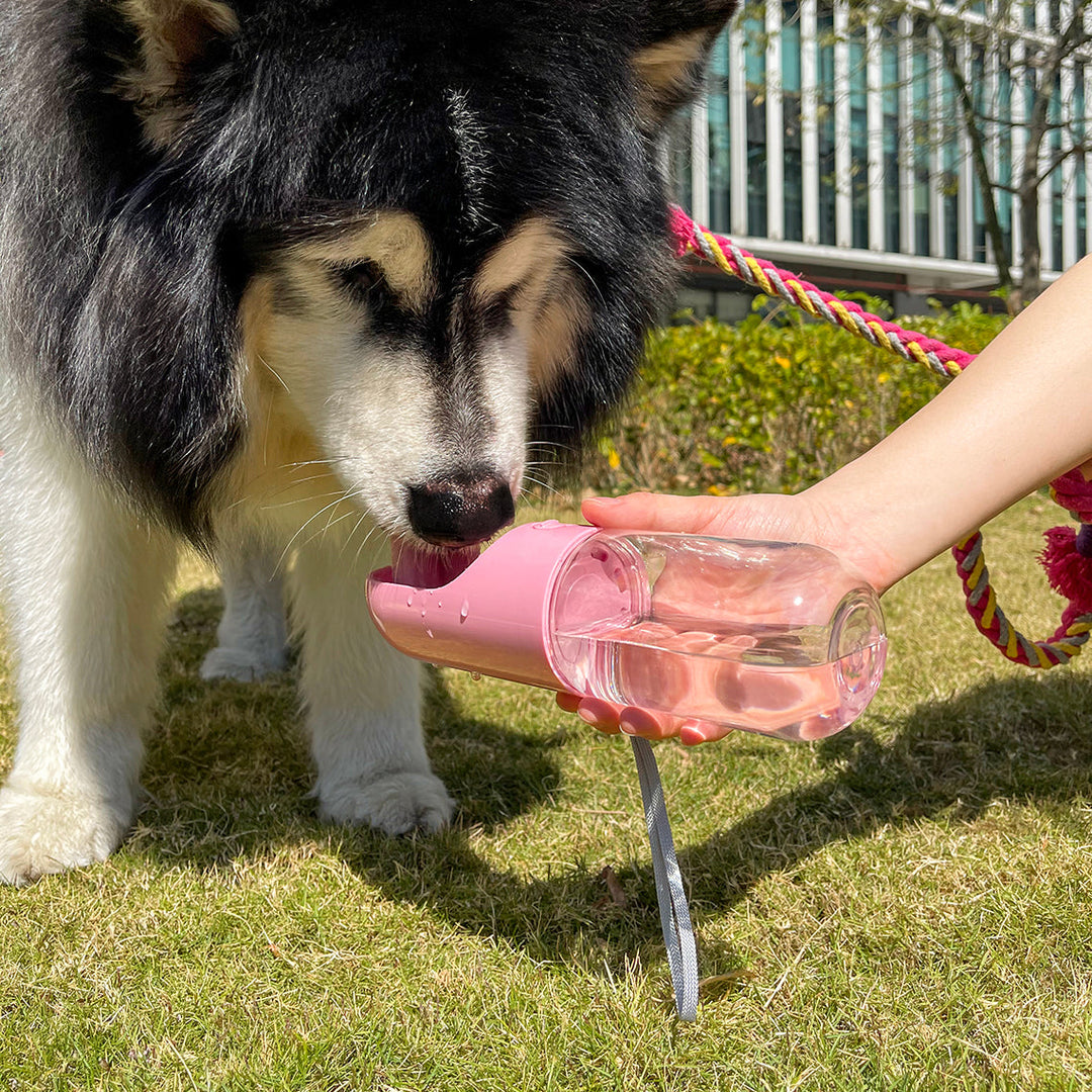 Tragbare 400ml Hunde-Wasserflasche aus Kunststoff für unterwegs, ideal für Outdoor-Abenteuer mit dem Haustier.