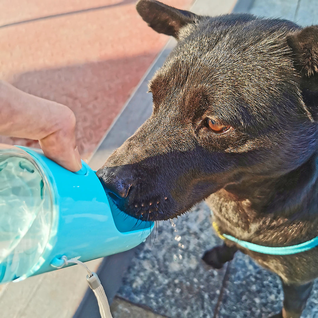 Weiße 400ml Hunde-Reisewasserflasche mit einfach zu bedienendem Trinknapf, perfekt für unterwegs & Outdoor.