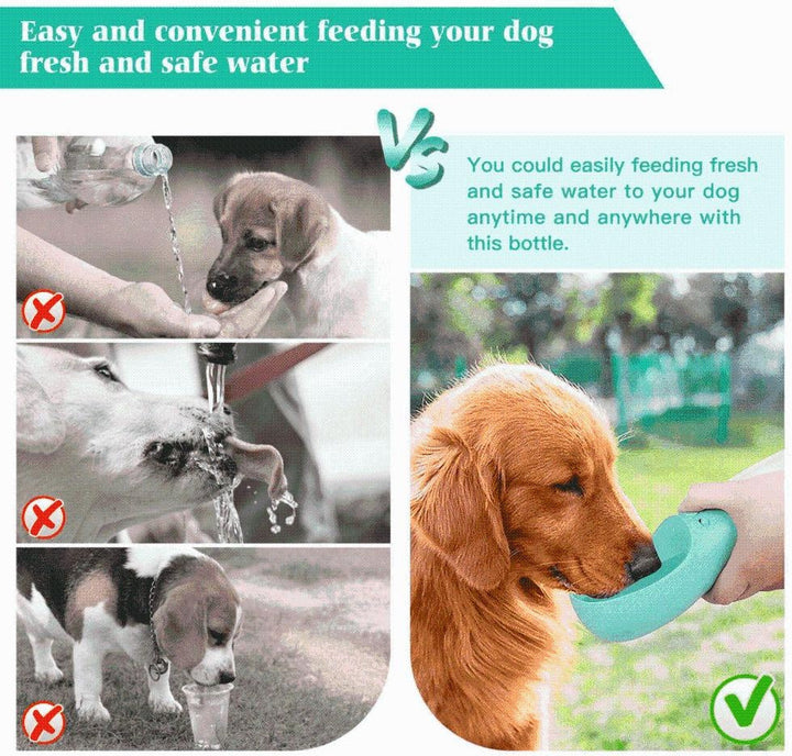 Hundewasserflasche auslaufsicher, perfekt für Wanderungen und Autofahrten mit Ihrem Vierbeiner.