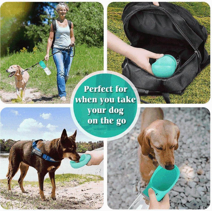 Innovatives Design der Hundewasserflasche, auslaufsicher für stressfreie Ausflüge.