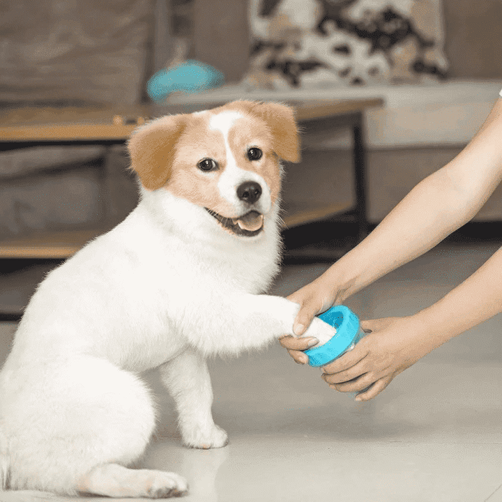 Reisefreundlicher Pfotenreiniger für Hunde, hält Ihr Zuhause sauber und Ihre Pfoten frei von Schmutz. Praktisches Hundezubehör.