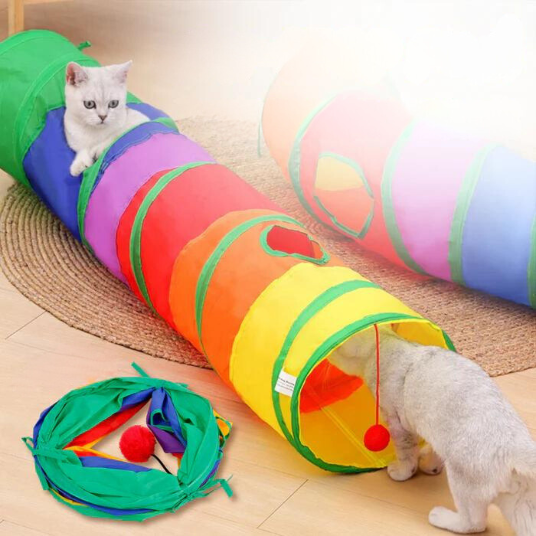 Farbiger Regenbogen Katzen Tunnel für interaktives Spiel und Spass. Faltbares Katzenspielzeug für Aktivität.