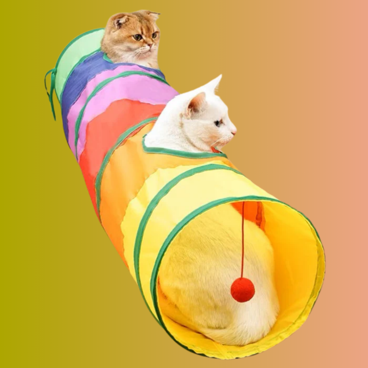 Bunter Katzenspieltunnel, perfekt zum Verstecken & Jagen. Fördert Aktivität & Spass für jede Katze.